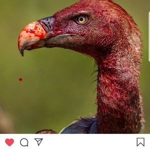 Meet your Posher, Colin